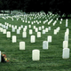 Death has long been considered humanity's number one health concern. Responsible for 100 percent of all recorded fatalities worldwide, the condition has no cure.